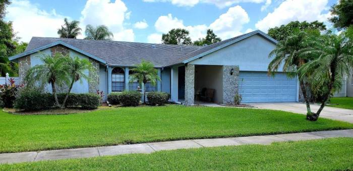 Houses for rent in pinellas county fl